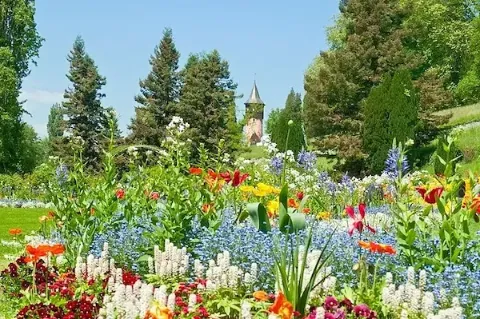 Eine Nahaufnahme von einem farbenfrohen Blumenbeet bei sonnigem Wetter auf der Insel Mainau im Bodensee.
