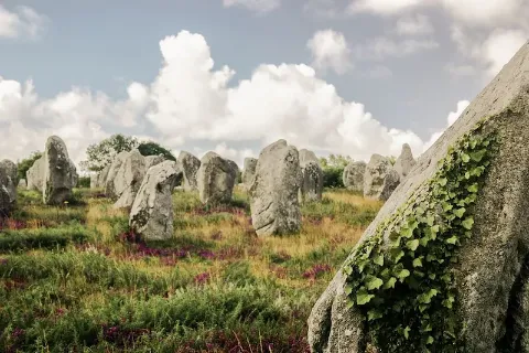 Eine Reisegruppe steht im Freien unter Bäumen und hört eine Reiseleiterin zu.