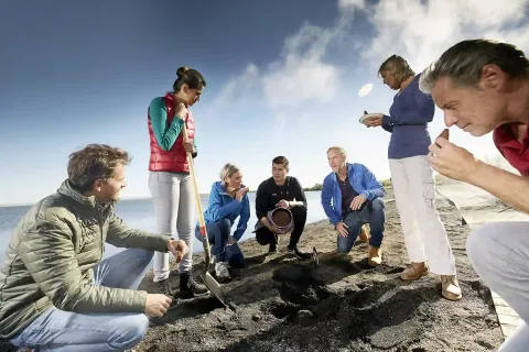 Ein Team arbeitet zusammen am Strand, um Proben zu nehmen und zu analysieren.