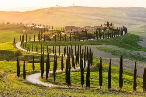 Eine Landschaft in der italienischen Toskana mit sanften Hügeln und einer Straße mit Zypressen im herbstlichen Abendlicht.