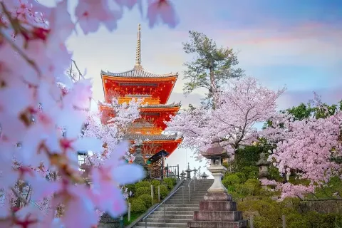 Der Kiyomizu-dera Tempel mit rotem Dach zwischen hellrosa Kirschblüten liegt im historischen Kyoto und ist UNESCO-Weltkulturerbe.