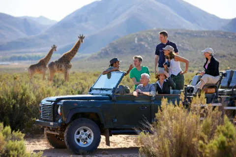 Eine Gruppe von Touristen in einem Geländewagen auf einer Safari mit Giraffen im Hintergrund.