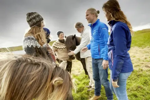 Menschen und Pferde, die auf einer grünen Wiese stehen und sich unterhalten.