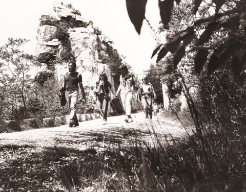 Eine Gruppe von Wanderern auf einem Weg in der Natur.