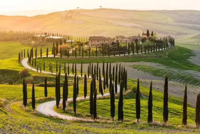 Eine Landschaft in der italienischen Toskana mit sanften Hügeln und einer Straße mit Zypressen im herbstlichen Abendlicht.