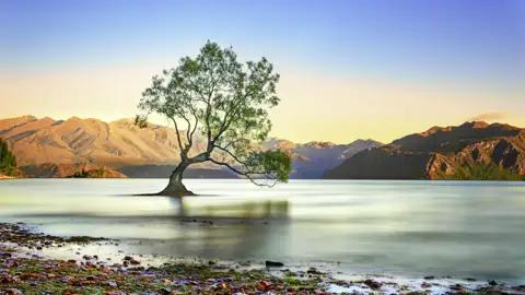 Auf unserer Wanderreise durch Neuseeland wohnen wir eine Nacht in Wanaka, in einem Resort am See. Von hier aus lassen sich tolle Wanderungen unternehmen.