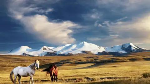 Auf Ihrer Expeditions-Rundreise durch die Mongolei erkunden Sie unter anderem von Jurtencamps aus Steppenlandschaften und Naturspektakel wie die Singenden Dünen und die Flammenden Klippen.