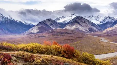 Wir besuchen auf unserer Naturerlebnisreise mit Studiosus den Denali-Nationalpark in Alaska