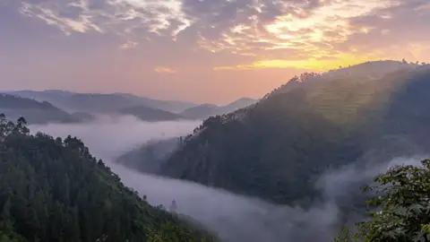 Ein Höhepunkt der Studiosus-Naturerlebnisreise Uganda - mit Gorilla-Tracking: das Landschaftserlebnis im Bwindi-Nationalpark, einer der Orte, an denen man wildlebende Gorillas sehen kann.