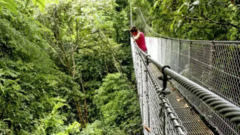 Auf unserer Studiosus-Reise in kleiner Gruppe durch Costa Rica erleben wir bei einem spannenden Baumwipfelspaziergang über Hängebrücken den tropischen Nebelwald in Monteverde und genießen einzigartige Ausblicke auf die üppige Flora und Fauna.
