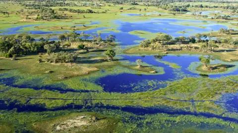 Das Okavangodelta in Botswana gehört zum UNESCO-Welterbe. Die sommerlichen Regenfälle über dem Hochland von Angola erreichen mit mehrmonatiger Verzögerung das Binnendelta in Botswana zum Wasserhöchstand im Mai und Juni.