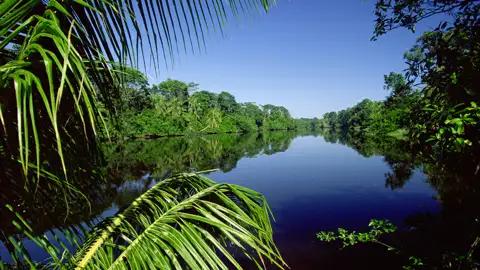 Ihre 17-tägige Studienreise durch Mittelamerika startet in Costa Rica – einem Naturparadies voller Kontraste. Erleben Sie dichten Dschungel, aktive Vulkane und eine beeindruckende Vielfalt an Tieren und Pflanzen hautnah auf spannenden Ausflügen.