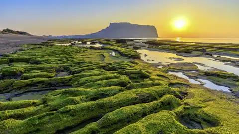 Während eines Aufenthalts auf der Urlaubsinsel Jeju besuchen wir auf unserer Studienreise durch Südkorea auch den Sunrise Peak.