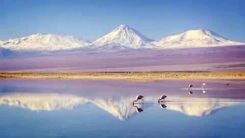Die Route der Studiosus-Reise durch Chile, Bolivien und Peru führt Sie in große Höhen - zu einzigartigen landschaftlichen Höhepunkten.