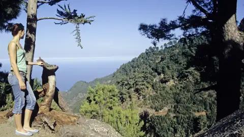 Auf unserer me & more-Reise nach La Palma erwarten Sie atemberaubende Ausblicke und unvergessliche Naturerlebnisse, darunter spektakuläre Blicke auf die wilde Inselnatur der Kanaren.