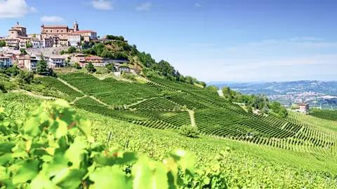 Herrlicher Ausblick über die Hügel von La Morra im Piemont