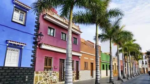 Während unserer Rundreise über die Kanarischen Inseln entdecken Sie gemeinsam mit Ihrem Studiosus-Reiseleiter das farbenfrohe Puerto de la Cruz auf Teneriffa.