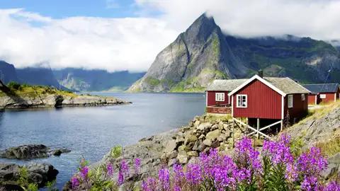 Auf unserer 11-tägigen Studienreise durch Lappland besuchen wir auch die Lofoten. Die roten Fischerhütten, die Rorbuer genannt werden, sehen wir dort in jedem Ort.