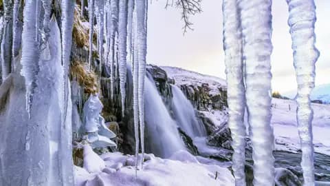 Auf der Studienreise durch Island machen wir einen Abstecher zum Gullfoss. Wenn wir Glück haben, erleben wir den sonst tosenden Wasserfall ganz still als Eisskulptur – ein Kunstwerk der Natur.
