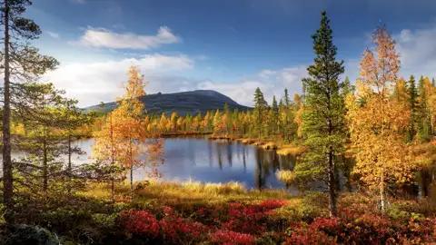 Auf dieser Reise zur Herbstlaubfärbung, in Finnland Ruska genannt, genießen Sie prächtig gefärbte Natur in vollen Zügen.