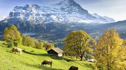 Auf dem Programm dieser acht- bzw. zehntägigen Studienreise durch die Schweizer Bergwelt stehen faszinierende Berglandschaften, wie hier Grindelwald mit dem Eiger im Berner Oberland.