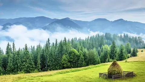 Auf unserer Wander-Studienreise nach Rumänien unternehmen wir Wanderungen in sehr reizvoller Landschaft, wie hier in den Karpaten.