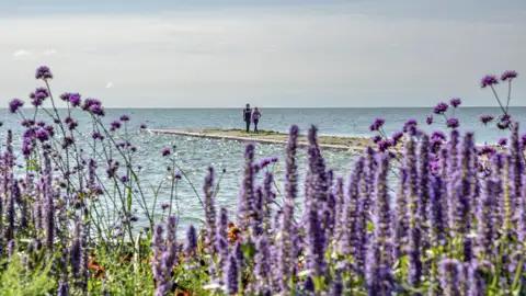 Während unserer Gruppenreise durch das Baltikum verbringen wir einen Tag auf der Kurischen Nehrung (UNESCO-Welterbe).