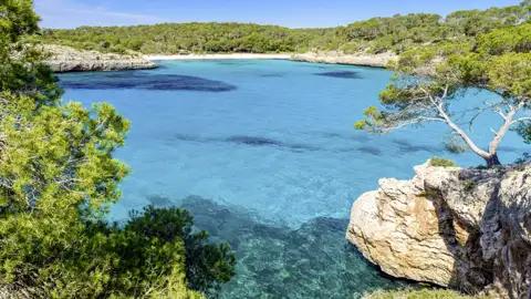 Mallorca genussvoll erleben – entdecken Sie auf dieser Studiosus-Reise malerische Buchten und Strände, zum Beispiel auf einem entspannten Spaziergang im Naturpark Mondragó.
