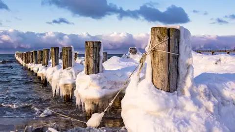 Entdecken Sie verschneite Holzpfähle an der Küste der Ostsee auf Ihrer Gruppenreise mit Studiosus.