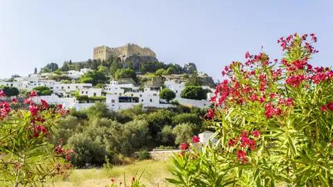 Die weißen Häuser von Lindos mit der darüber thronenden Akropolis sind eines der vielen Fotomotive auf unserer Gruppenreise mit Studiosus. Ein Höhepunkt jeder Rundreise mit Stop in Rhodos.