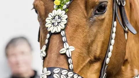 Auf unserer Eventreise beobachten wir geschmückte Pferde beim Osterreiten in Niederlausitz. Dies ist ein Highlight unserer Gruppenreise mit Studiosus zur Osterzeit.