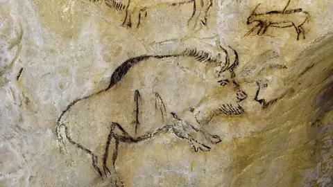 Prähistorische Höhlenmalereien von Tieren, darunter eines Bisons,  in der Grotte von Niaux - eines der vielen Ziele auf unserer zehntägigen Studienreise in das Languedoc und ins Roussillon.