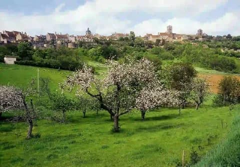 Blühende Obstbäume in einer grünen Landschaft mit einem Dorf im Hintergrund.