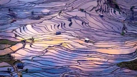 Panoramablick auf die Reisfeld-Terrassen