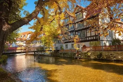 Historische Fachwerkhäuser und Bäumen mit Herbstlaub am Fluss Gera in der Altstadt von Erfurt.