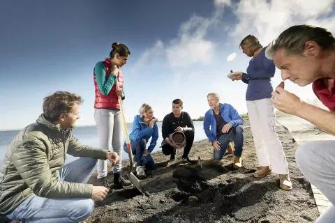 Ein Team arbeitet zusammen am Strand, um Proben zu nehmen und zu analysieren.