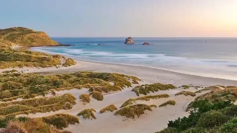 Der Strand von Sandfly Bay bei Dunedin in Neuseeland beim Sonnenuntergang.