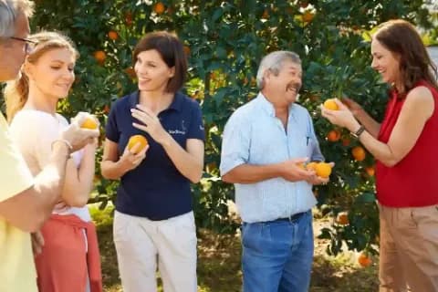 Eine Gruppe von Menschen, die Orangen in einem Obstgarten halten und lachen.