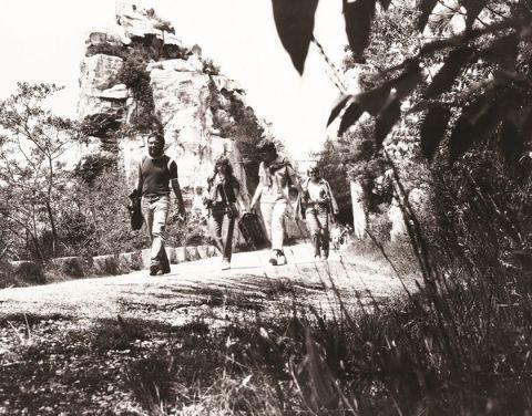 Eine Gruppe von Wanderern auf einem Weg in der Natur.