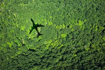 Der Schatten eines Flugzeugs auf dem Blätterdach des Regenwaldes.