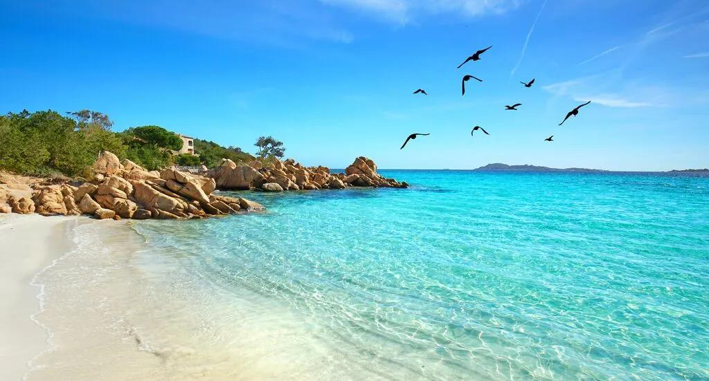 Mobile header background