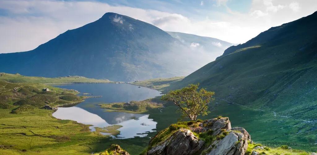 Mobile header background