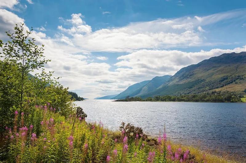 Mobile header background