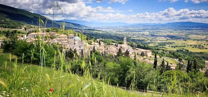 Mobile header background