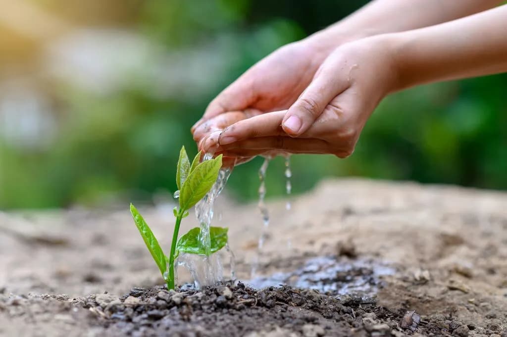 Mobile header background