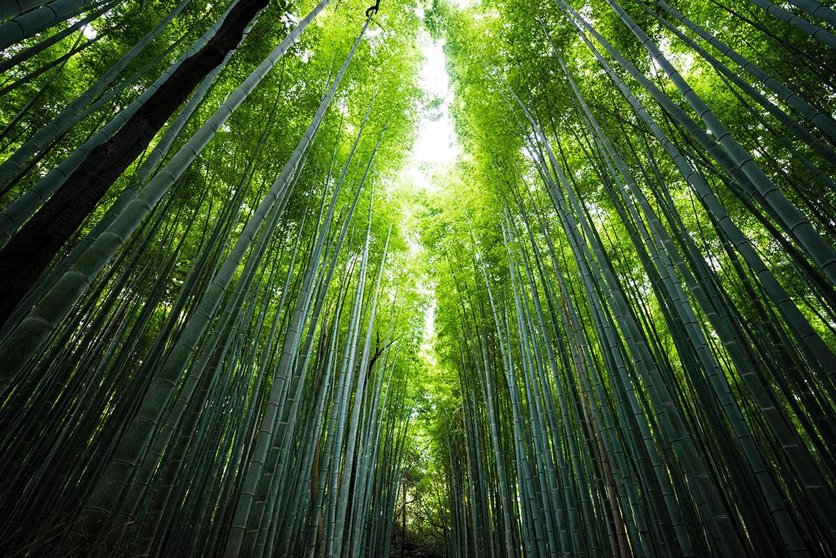 Mobile header background