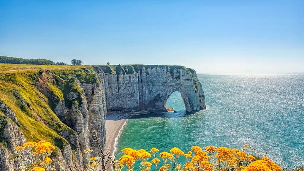 Mobile header background