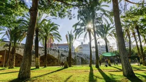 Entdecken Sie auf dieser fünftägigen Städtereise nach Valencia gemeinsam in kleiner Gruppe und mit Studiosus-Reiseleitung die Sehenswürdigkeiten von Valencia, etwa den Turia-Park.