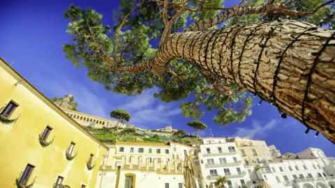 Gemeinsam schauen wir uns im farbenfrohen Städtchen Sorrent um, bevor wir auf unserer Studienreise weiterfahren in einen urigen Zitronenhain.