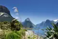 Auf unserer Studienreise durch Australien und Neuseeland erkunden wir natürlich auch den Milford Sound auf der Südinsel Neuseelands. Schroffe Berge, tosende Wasserfälle, glasklare Seen und spektakuläre Fjorde zeichnen dieses UNESCO-Welterbe aus.